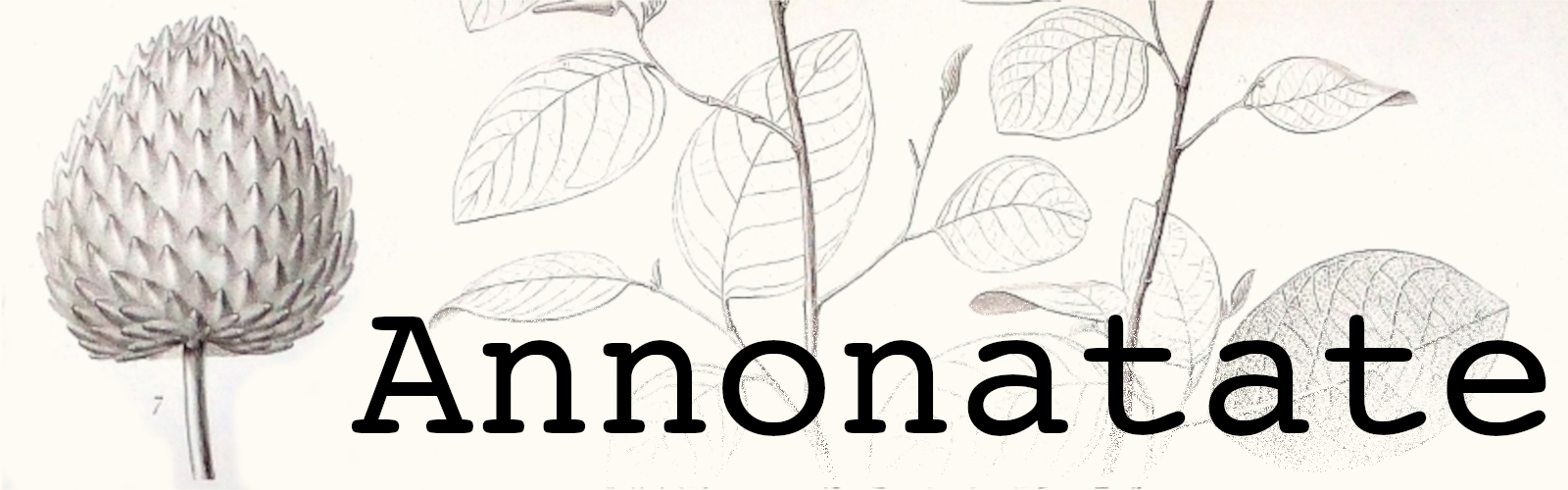 Text Annonatate over an annona plant